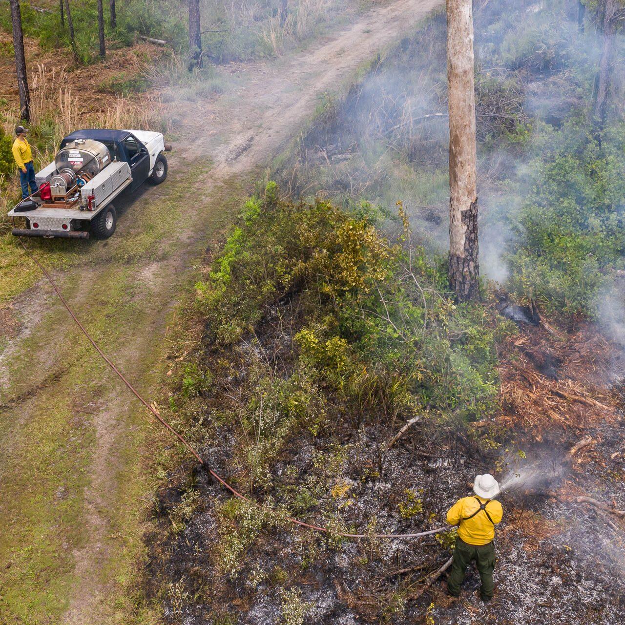 Aerial drone photograph of a fire management crew monitoring a controlled burn in Pinellas County, Florida with smoke rising through wooded terrain.